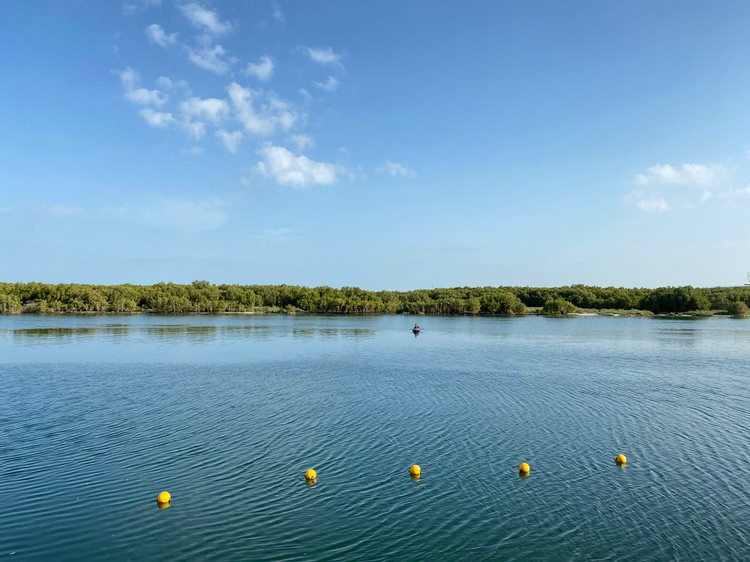 水質氨氮 水質氨氮